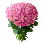 Fleuriste à Casablanca, Bouquet 101 Roses Rose, Oricago, Livraison De Fleurs Casablanca